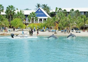 Duikvakantie Curacao vakantieduiker lions dive