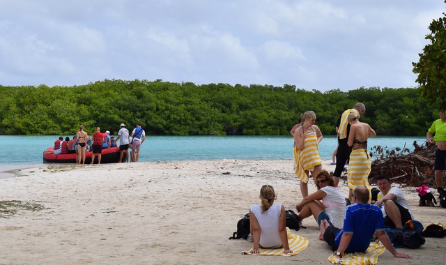 Duikvakantie Bonaire Vakantieduiker Mangrove Tochten Vakantieduiker Nl